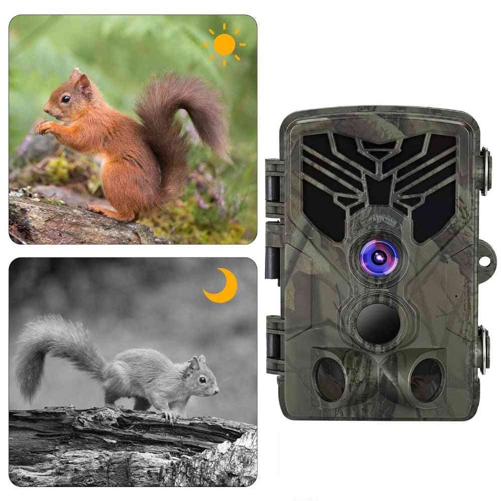 Live show wild trail camera, wifi, controllo bluetooth, trappole per visione notturna trappole fotografiche