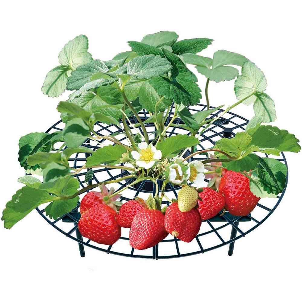 Support de cadre de support de fraise support de plantation de balcon