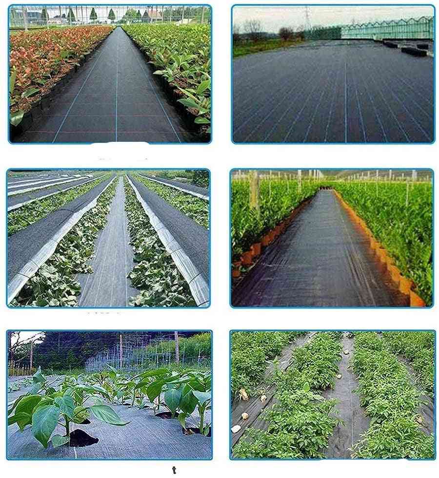 Agricultural Anti Grass Cloth Farm-oriented Weed Barrier Mat