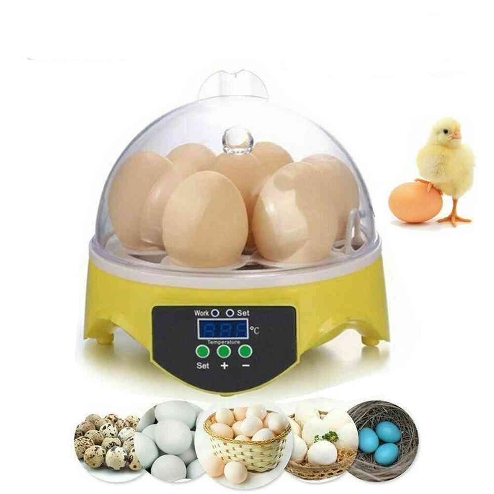 Automatic Temperature Brooder Chicken Duck Bird Hatcher
