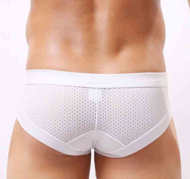 Sexy Briefs Underwear