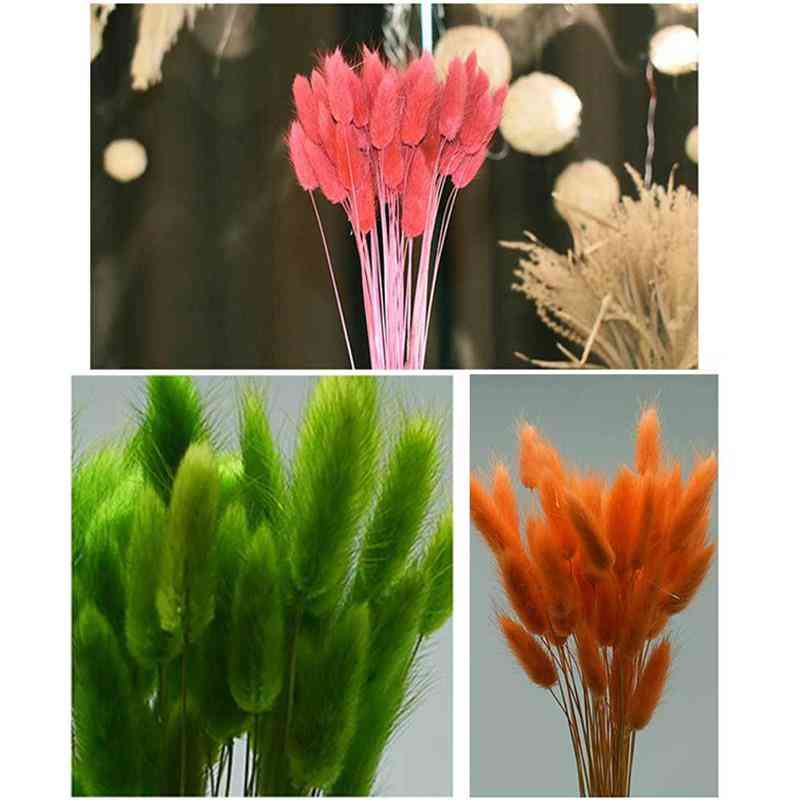 Natural Dried, Rabbit Tail, Grass Bunch, Colorful Flower Bouquet