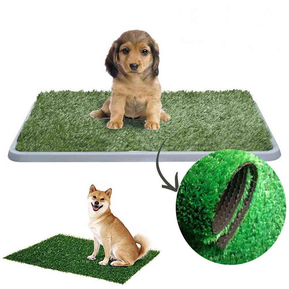 Tapis de dressage portable pour chien et petit animal de compagnie avec plateau