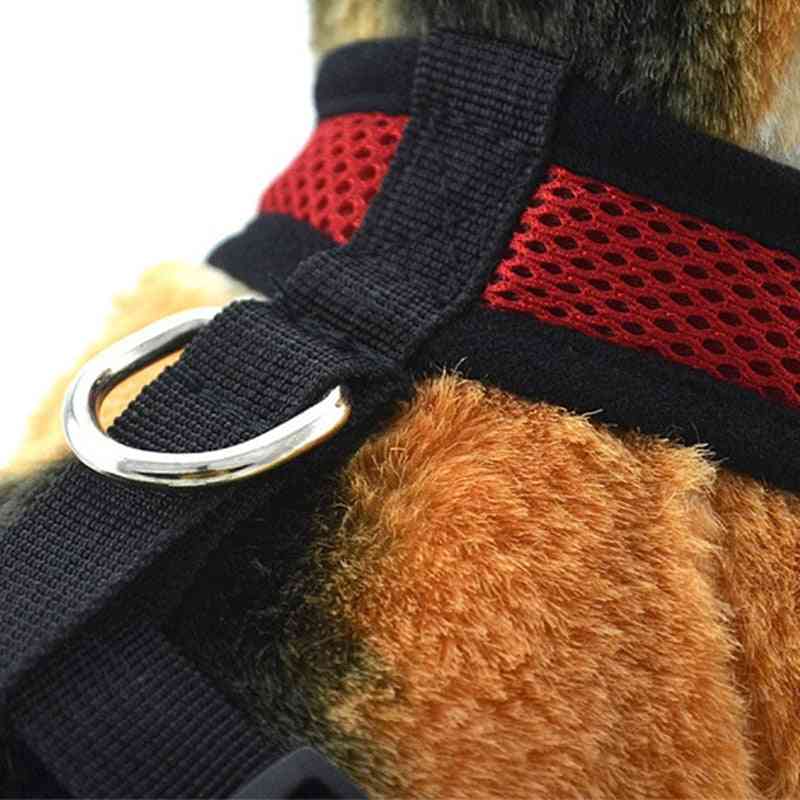 Soft Mesh- Harness Vest For Dog Training