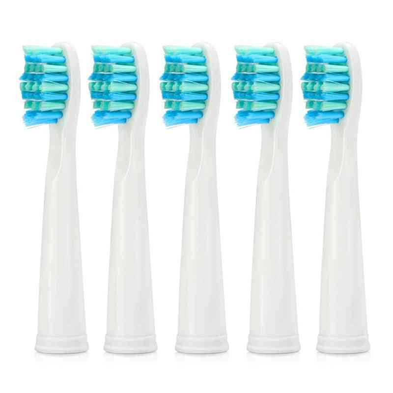 Electric- Replacement Toothbrush Head