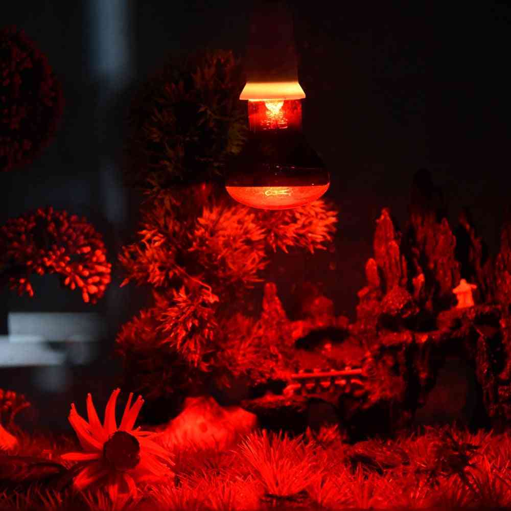 Krypdyroppvarming- amfibiefugl, slangelam, rød lyslampe