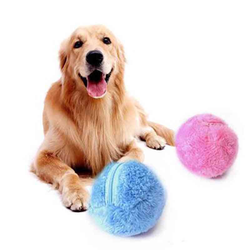 Automatic Electric- Magic Roller Ball, Chew Plush Floor Clean