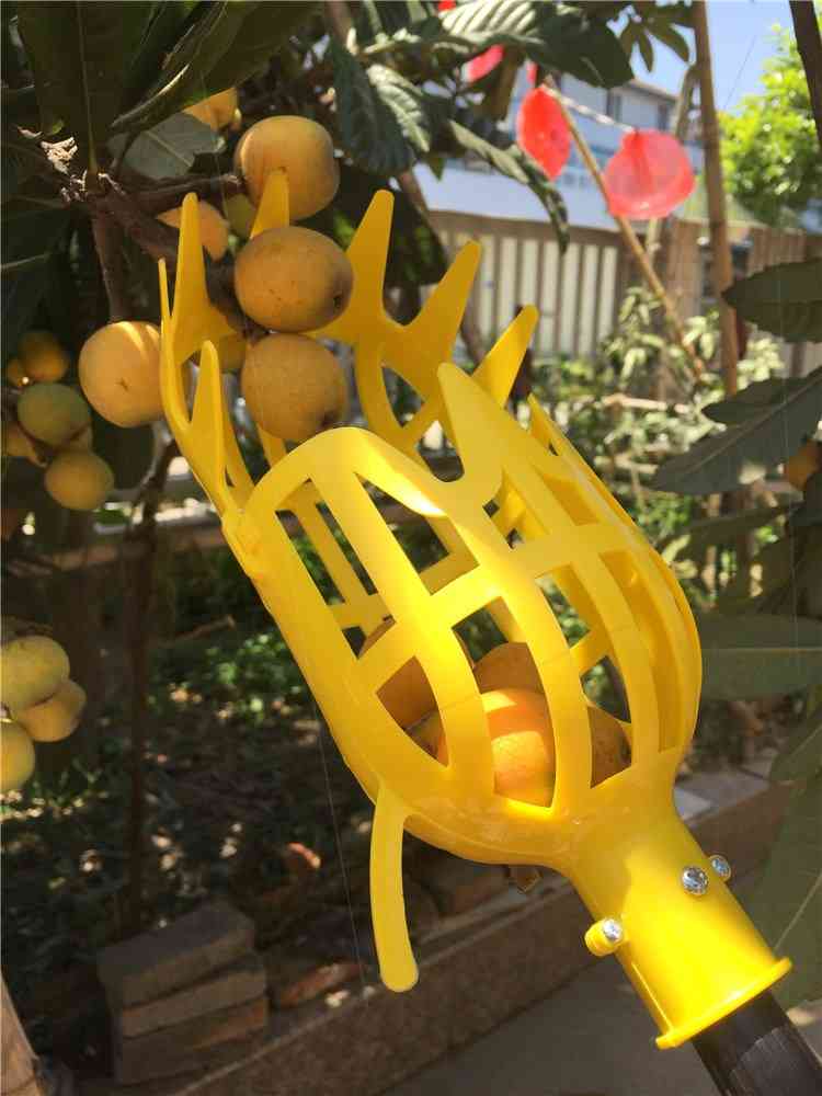 Plastic Fruit Picker Catcher, Picking Farm Garden, Hardware Tool