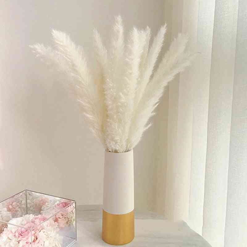 Natural Dried Flowers, Artificial Plants Branch Colorful Pampas Grass