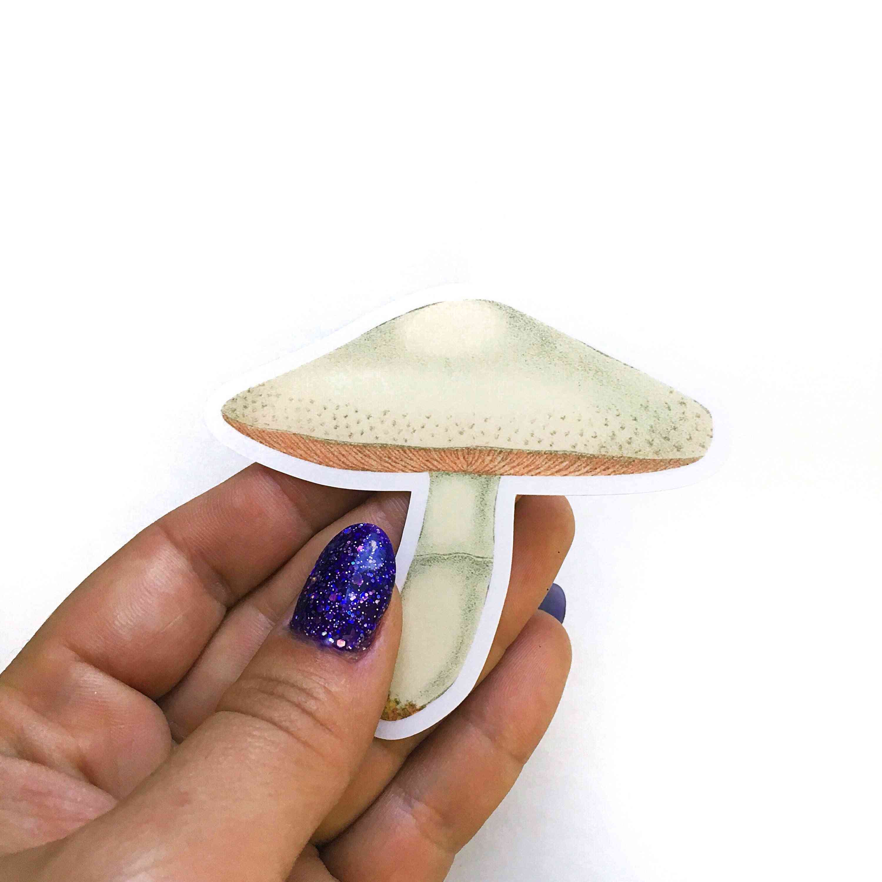 Autocollant vinyle champignon blanc - image antique