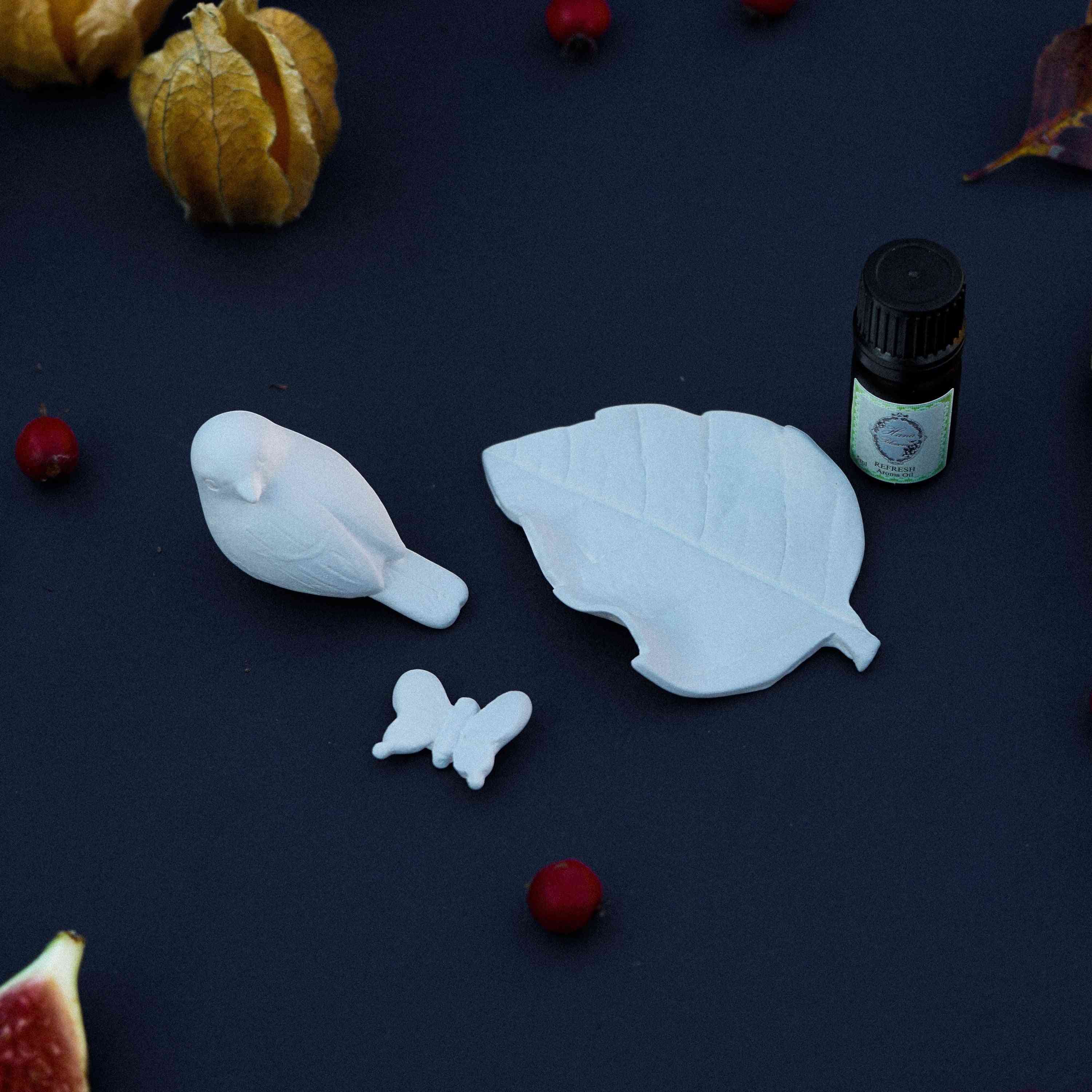 Vtáčí motýľ a listový porcelán - difuzér miestnosti s osviežujúcim bergamotom