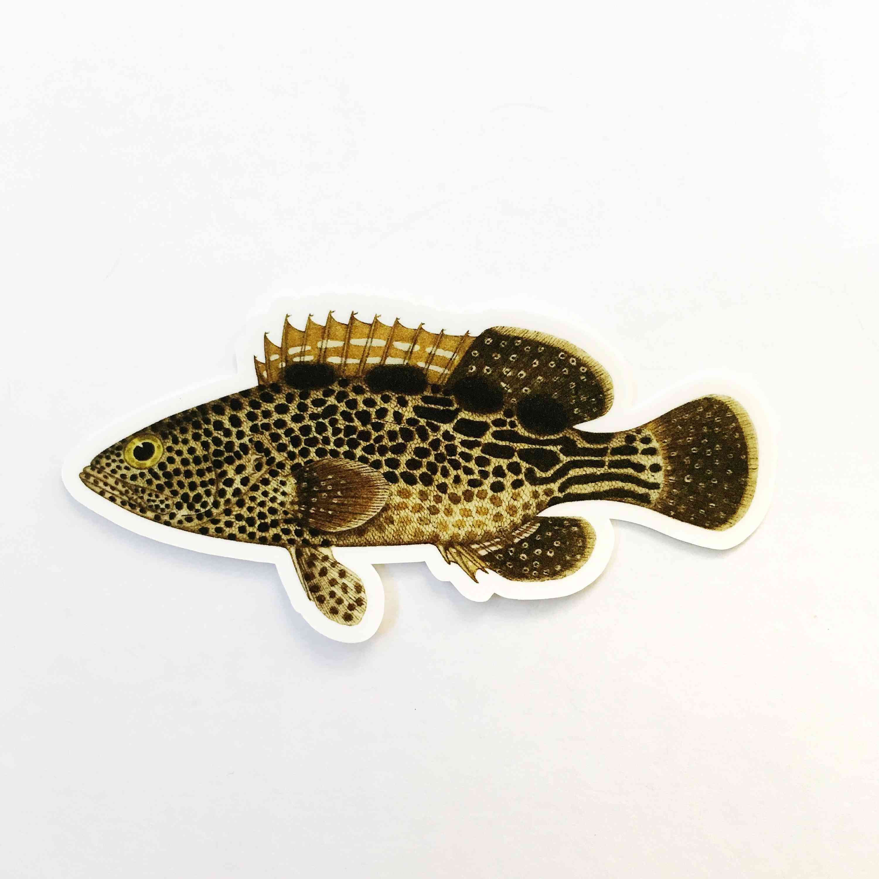 Grouper fisk vinyl klistermærke