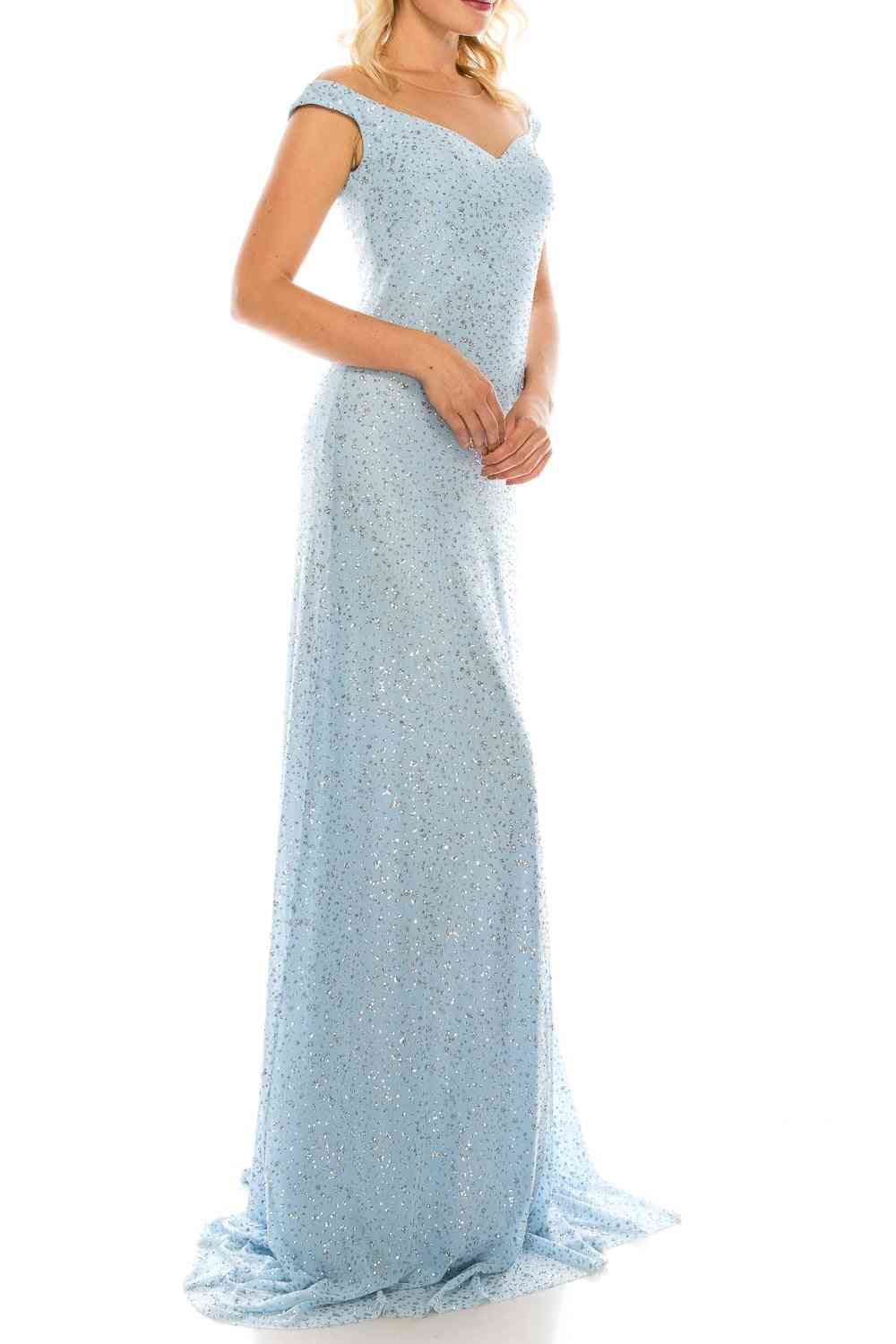 Glittery Mesh, Portrait Neckline Evening Dress