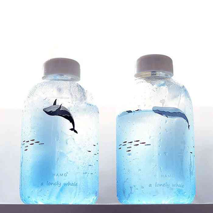 Botella de agua de vidrio de ballena