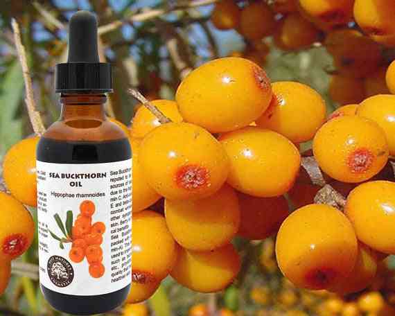 100% Pure Sea Buckthorn Fruit, Berry Oil