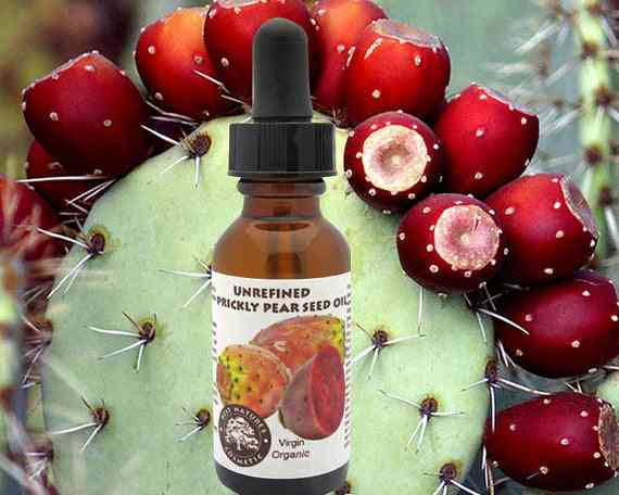 Virgin Prickly Pear Seed Oil