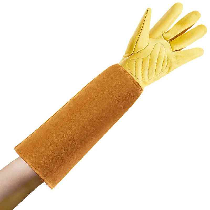 Gardening Gloves And Men