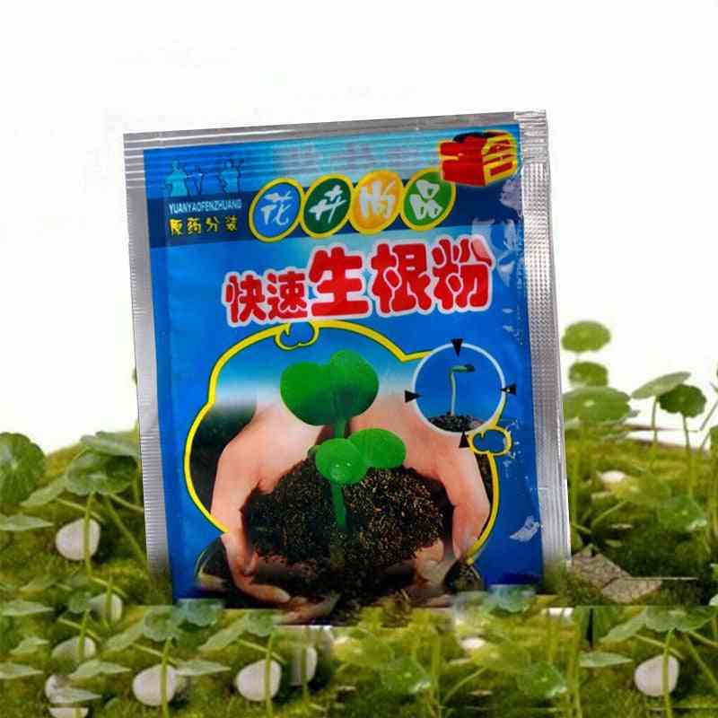 Bonsai Plant- Rapid Growth Root, Medicinal Hormone, Regulators Growing Seedling