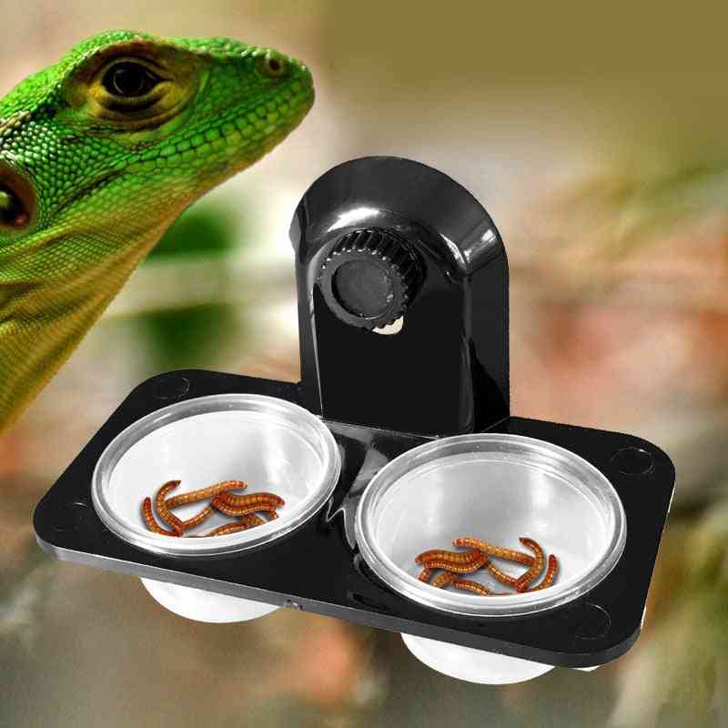 Reptile Tank- Insect Spider, Ants-nest Snake, Gecko Food Water Feeding, Bowl