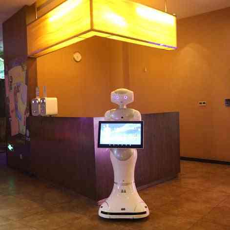 Lidar navigácia recepcia robot reštaurácia škola múzeum promenáda hala cesta recepčný hlasový sprievodca