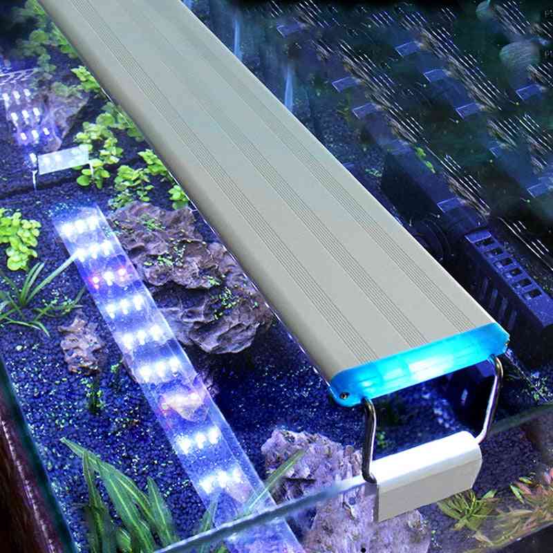 Ohut kalasäiliö vesikasvi kasvaa valaistus vedenpitävä kirkas clip lamppu