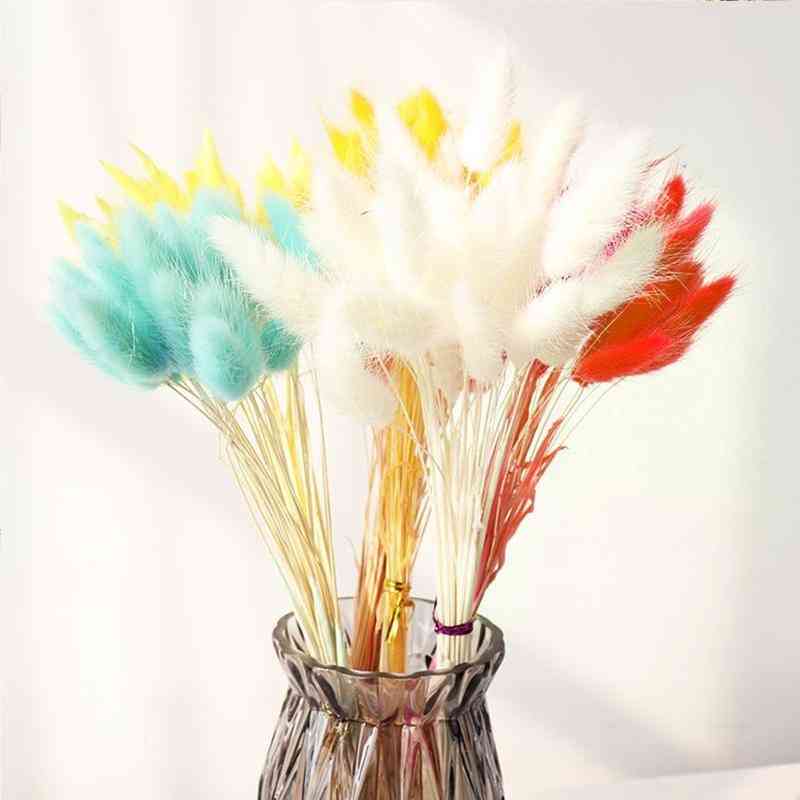 Dried Rabbit Flowers Bouquet Bunny Tail Natural Plants