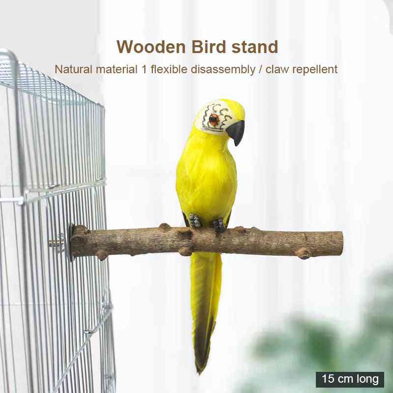 Pet Parrot Bird Wild Grape Wood Pole Prickly Ash Standing Stick