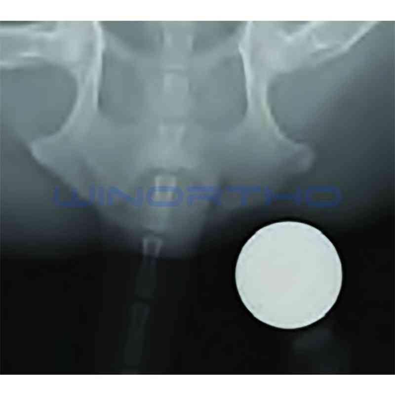 Rentgenska referenčna krogla radiografski veterinarski, ortopedski instrument (x žogica)