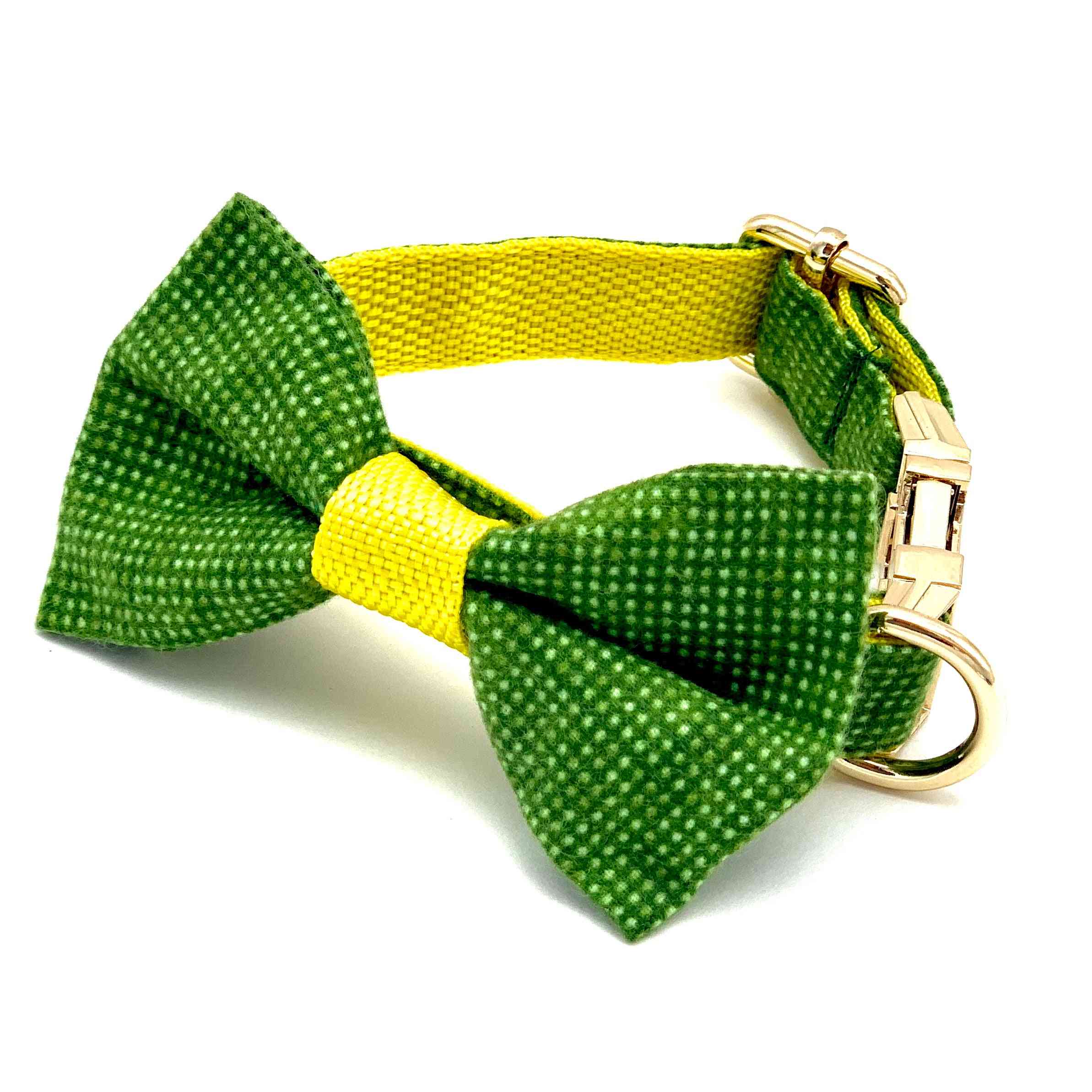 Zelený a žlutý puntíkovaný obojek pro psa a motýlka