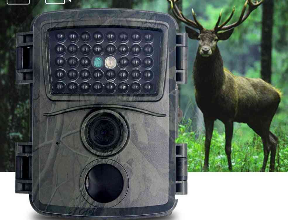 Trail Hunting Camera With Infrared Sensors, Night Vision Cam For Animal Monitoring
