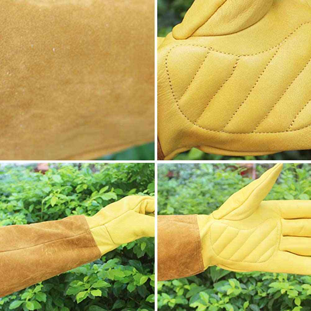 Non-slip Rose Pruning Protective, Long-sleeve Thorn, Gardening Gloves