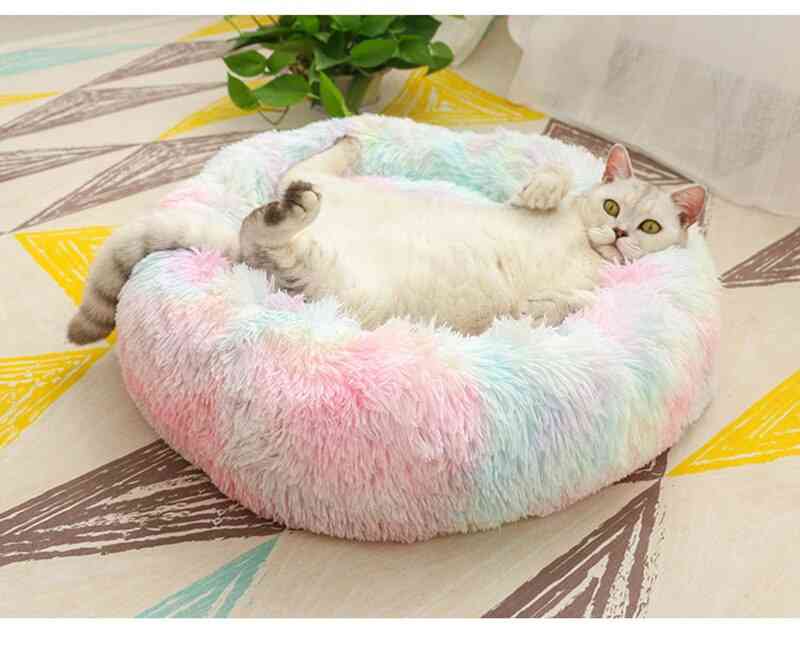 Cotton & Seamless Long Plush Pet Bed - Set 1