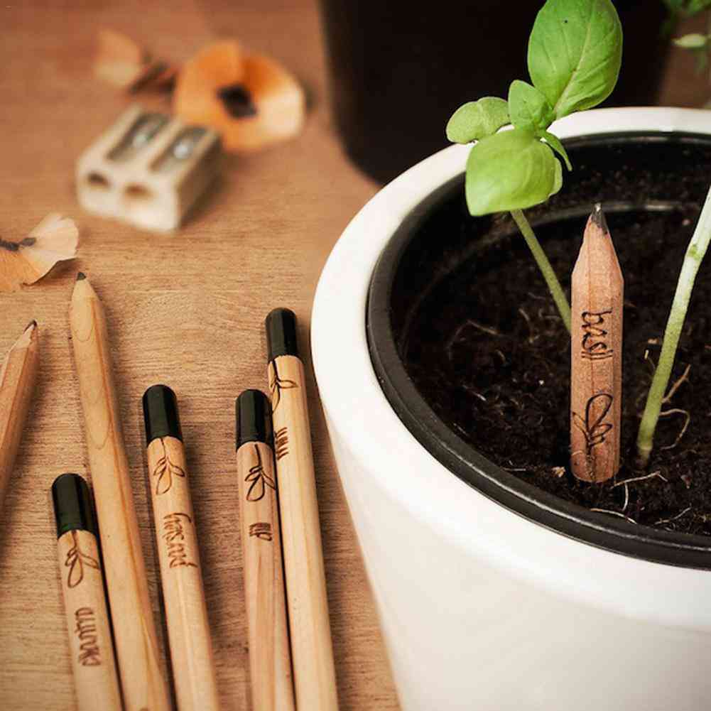 Idea Germination Set To Grow Pencil
