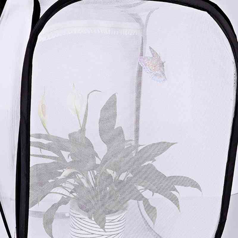 Net Cloth Praying Mantis Stick Insect Butterfly Cage