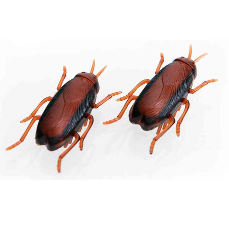 Funny Simulation Cockroaches Interactive Training Play Toy