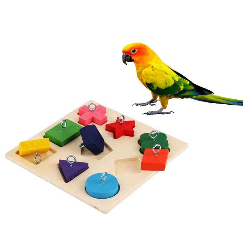 Fåglar papegoja interaktiv utbildning färgglada träblock