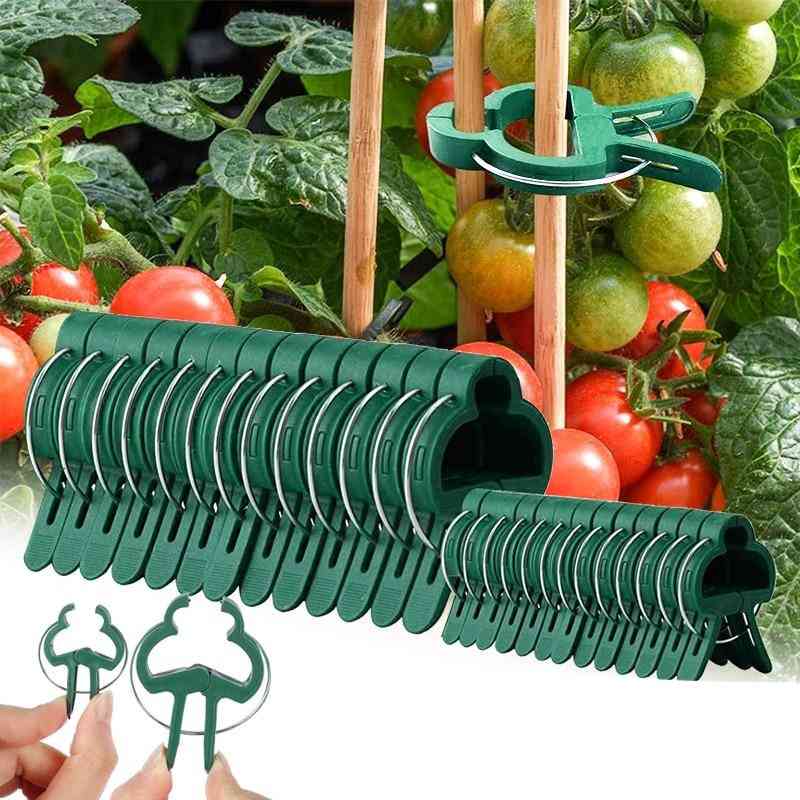 Greenhouse Clamp Stand Plastic Plant Clip