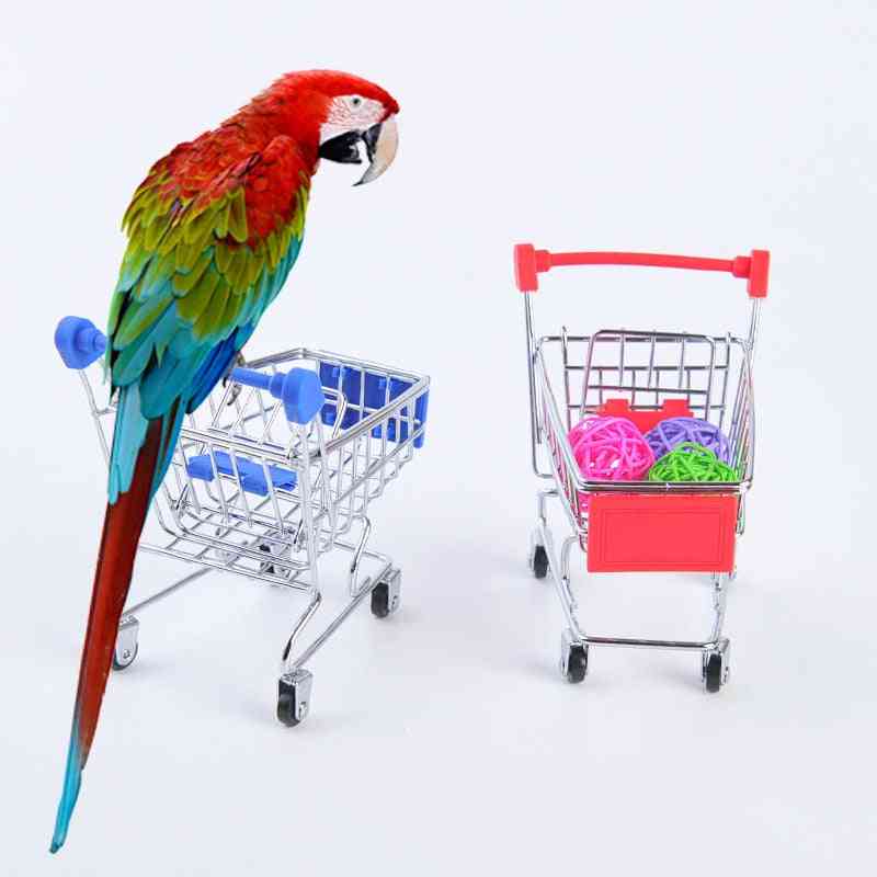 Funny Bird Parrot Set