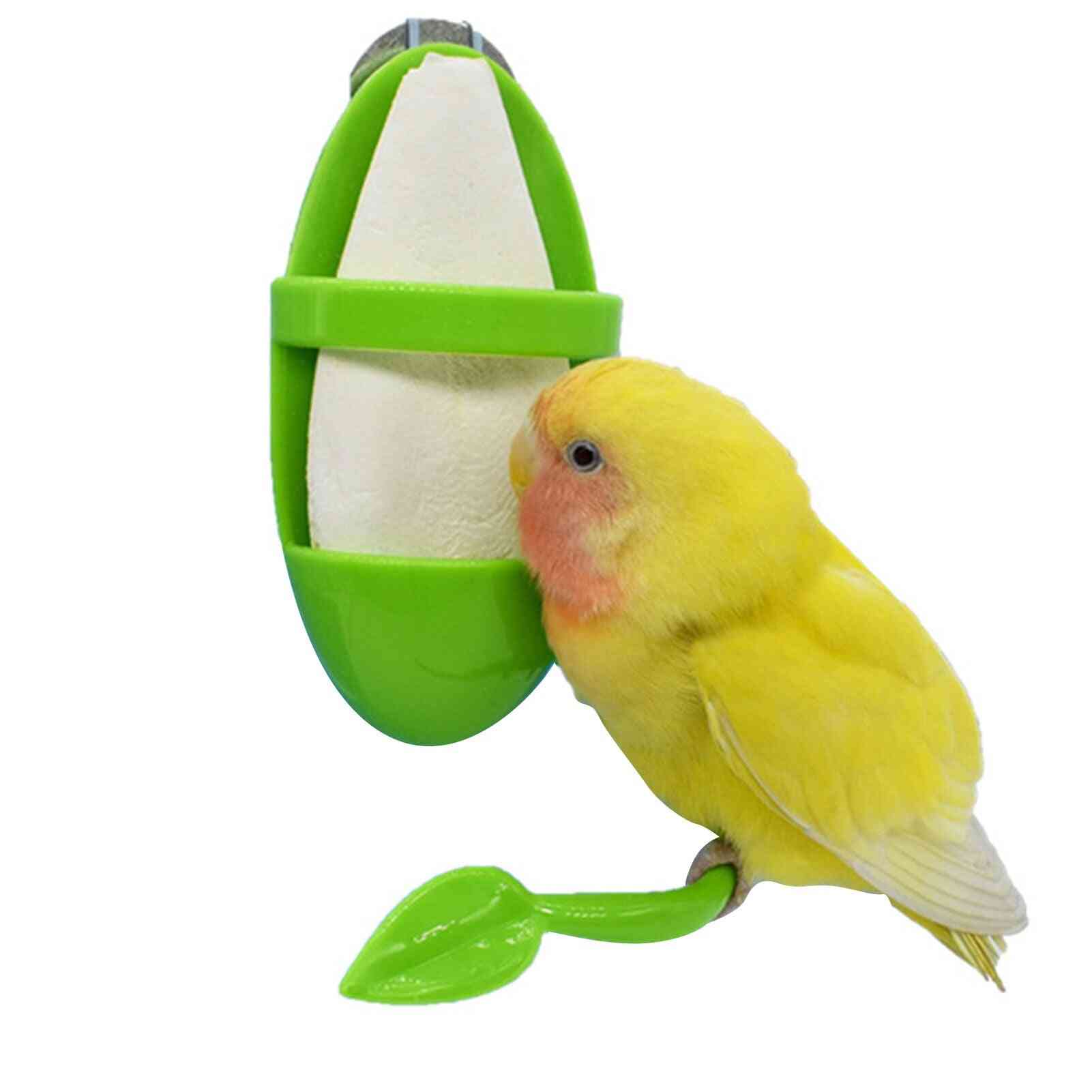 Parrot Feeder With Standing Rack Cuttlefish Bone Container Calcium Food Box