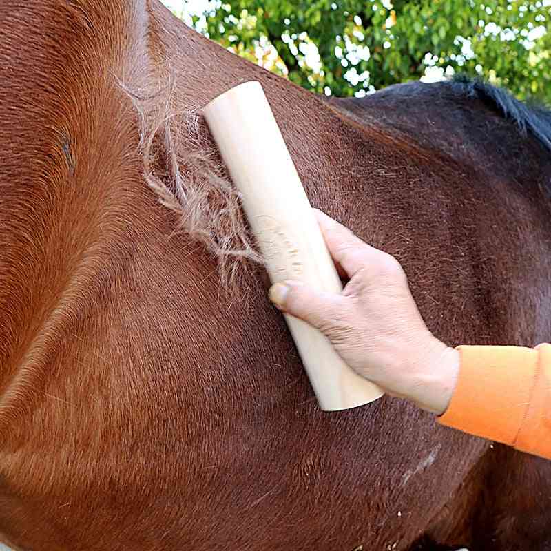 Hair Brush Equipment Grooming For Horse