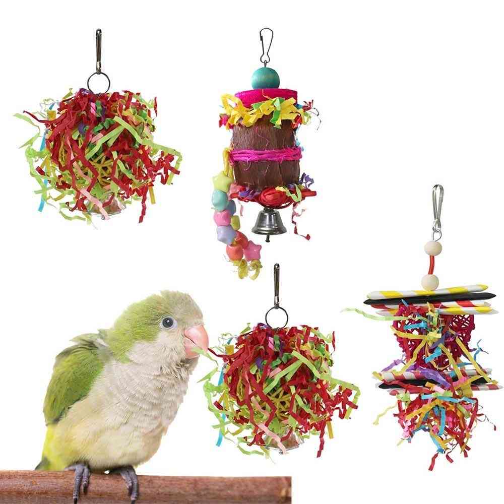Small Parrot Chewing Foraging Hanging