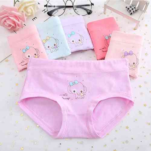 New Cotton Panties For Babies