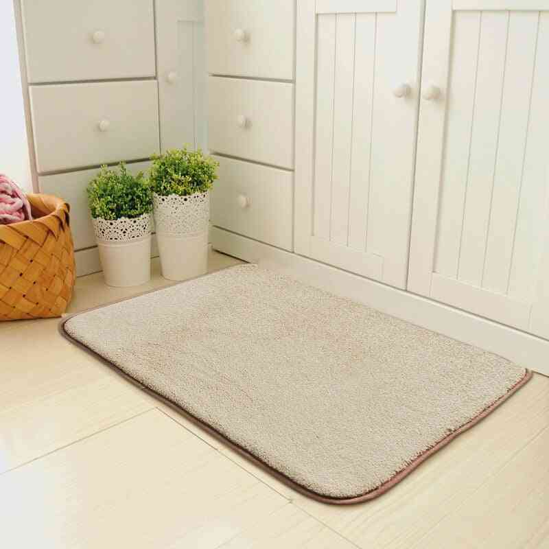 Entrance Door Floor Mat Water Absorption Carpet