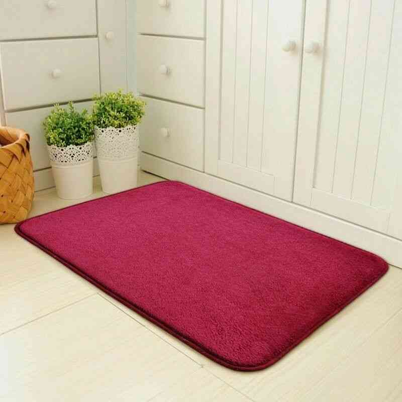 Entrance Door Floor Mat Water Absorption Carpet