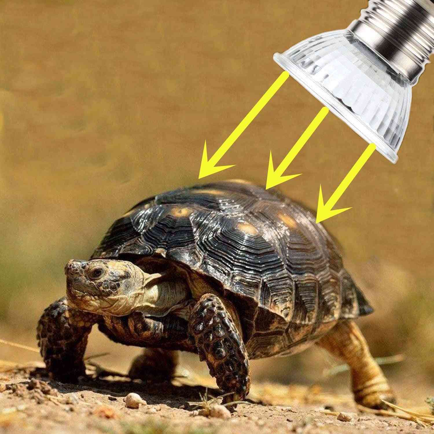 Reptile Uvb Bulb Ballast New Pet Lamps