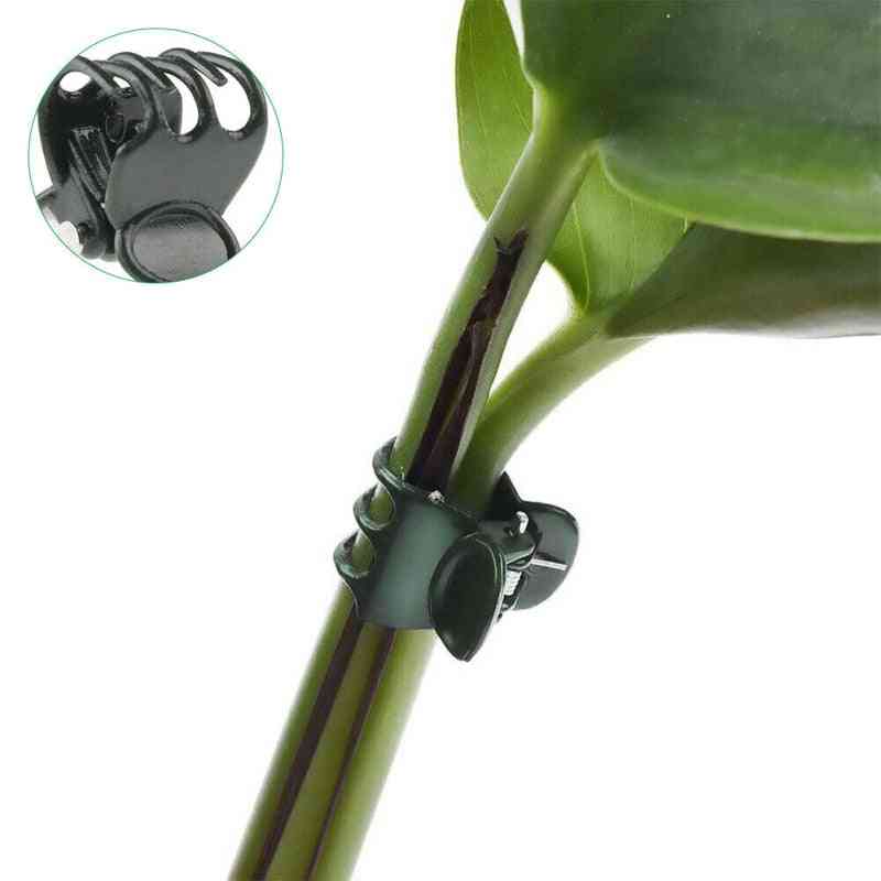 Garden Grafting Plant Support Tied Vine Clips