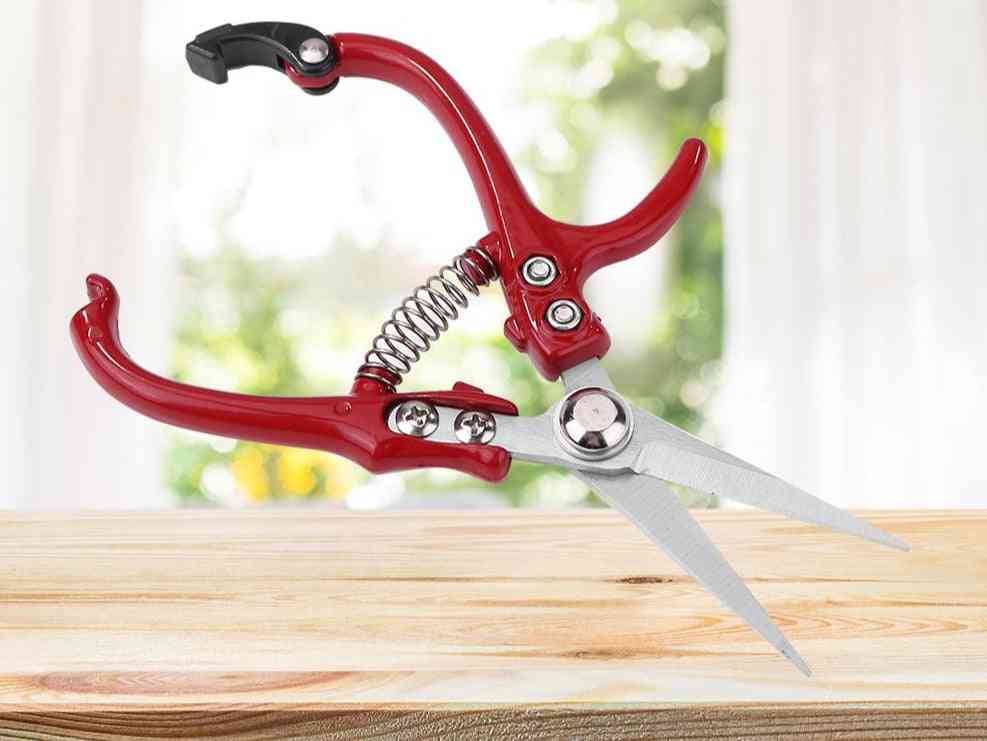 Garden Tools Secateurs Bonsai Shears, Metal Gardening Scissor
