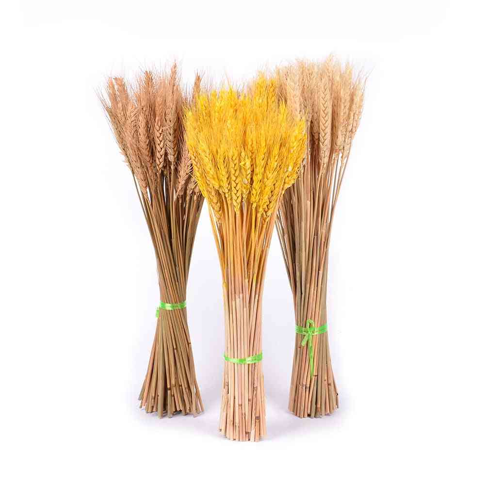 50pcs Natural Wheat Dried Flowers Wedding Party Decoration