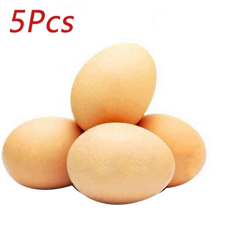 Fake Eggs Model Simulation Plastic Easte