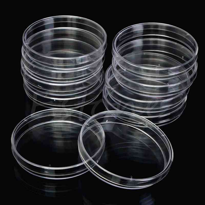 Plastic Petri Dishes For Lb Plate